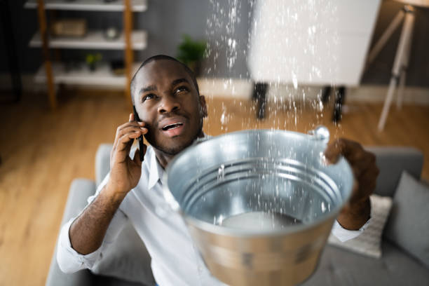 Best Sewage cleanup and water damage restoration  in Shell Lake, WI