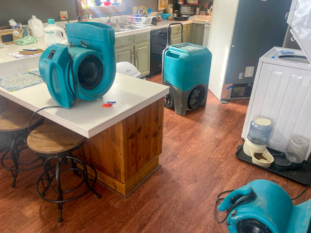 Best Water damage restoration process  in Shell Lake, WI