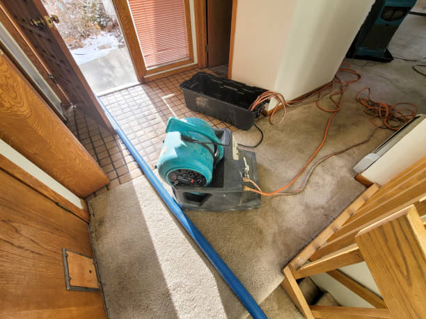 Best Water damage contractors near me  in Shell Lake, WI