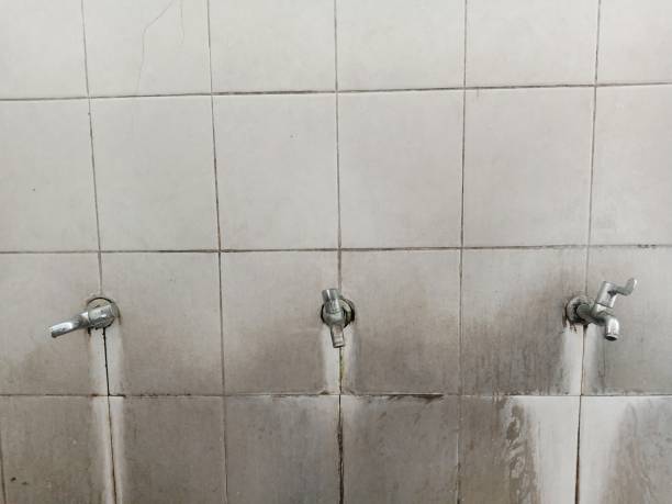 Best Emergency water damage restoration  in Shell Lake, WI