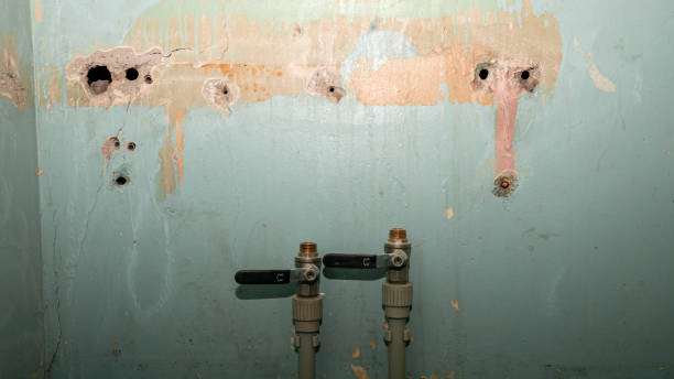 Best Water damage restoration experts  in Shell Lake, WI