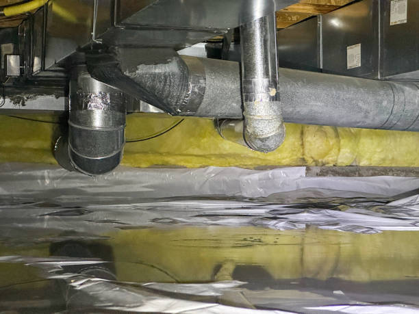 Best Basement water damage restoration  in Shell Lake, WI