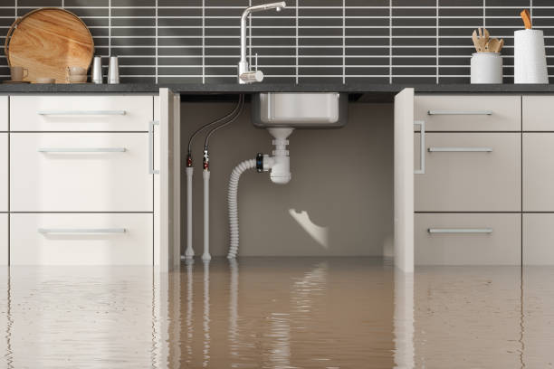 Best Ceiling water damage repair  in Shell Lake, WI